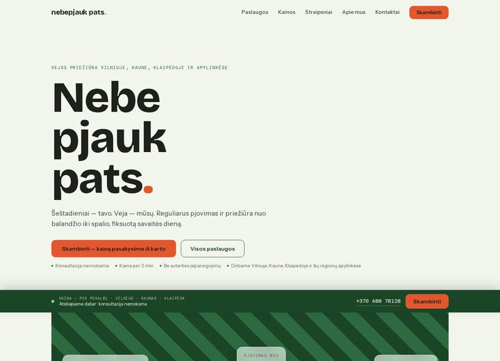 nebepjaukpats.lt — screenshot